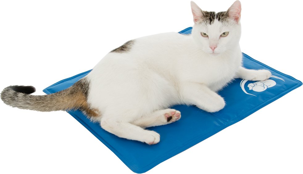 Kühlmatte Keep Cool - L 50 x B 40 cm