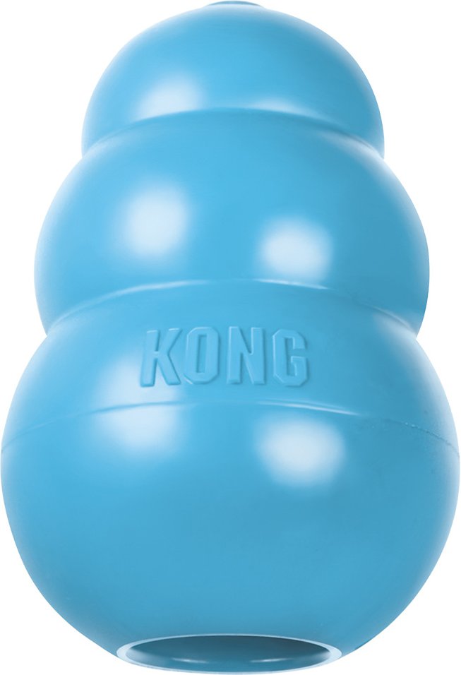 KONG Welpenspielzeug - XS, blau