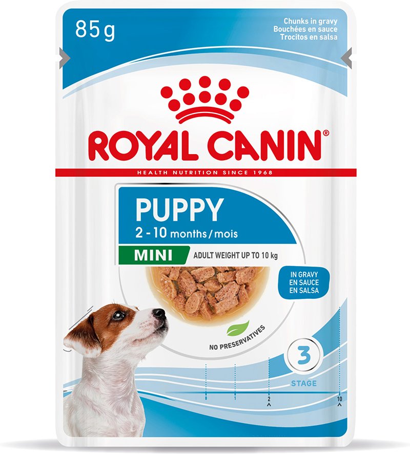 Royal Canin Mini Puppy in Soße - 12 x 85 g