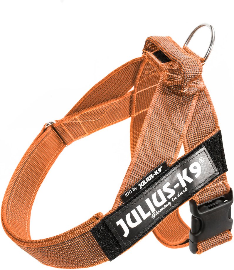 Julius-K9 IDC® Color & Grey Gurtgeschirr, orange/grau - Größe M/0: Brustumfang 58 - 76 cm