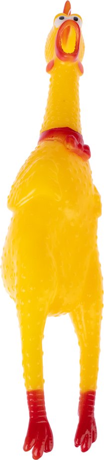 zooplus Basics Quietsch-Huhn - Größe M: L 30 x B 7 x H 6,5 cm