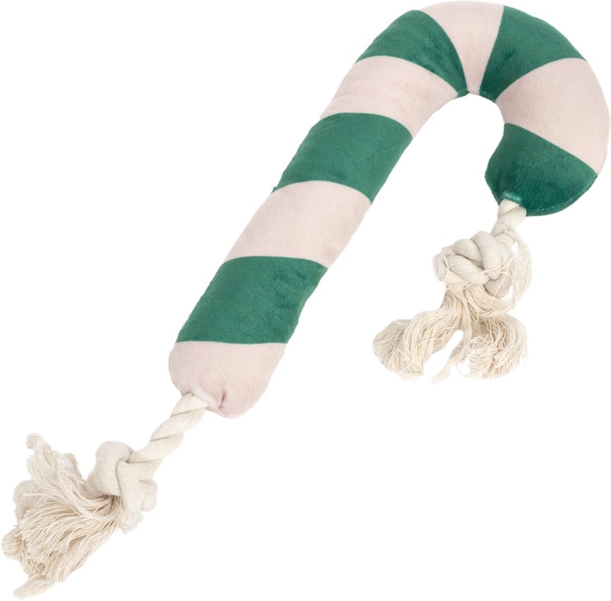 Modern Living Zuckerstange Göttingen für Hunde - ca. L 30 x B 12 x H 4 cm