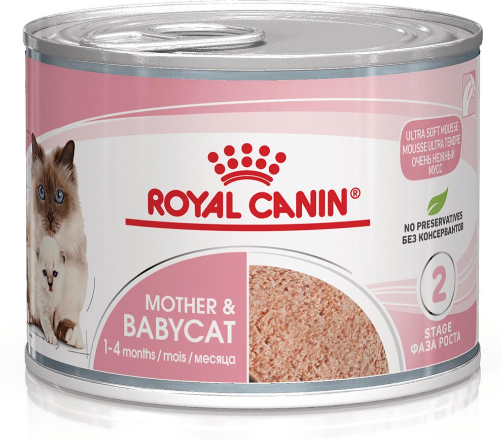 Royal Canin Mother & Babycat Ultra Soft Mousse - Sparpaket: 24 x 195 g