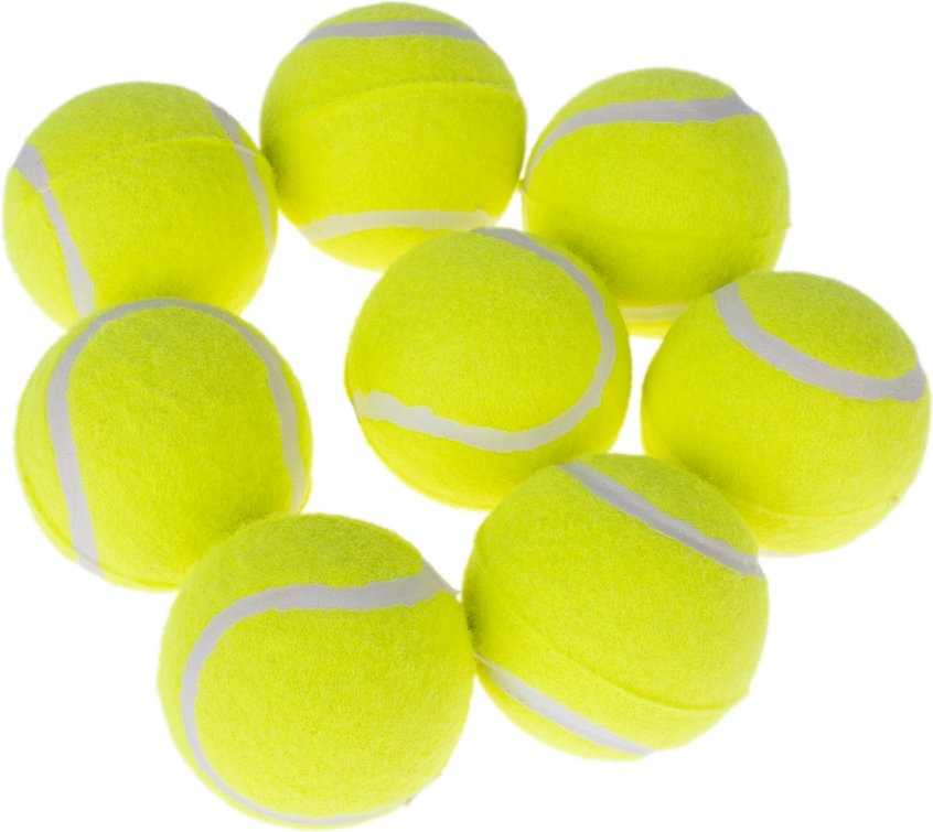 zooplus Basics Tennisball-Set - 8 Stück: Ø 6,3 cm