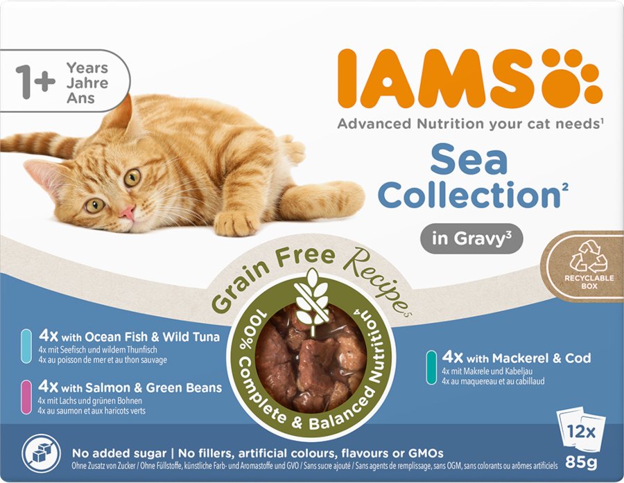 IAMS Advanced Nutrition Grain Free Sea Collection in Sauce - Sparpaket: 48 x 85 g