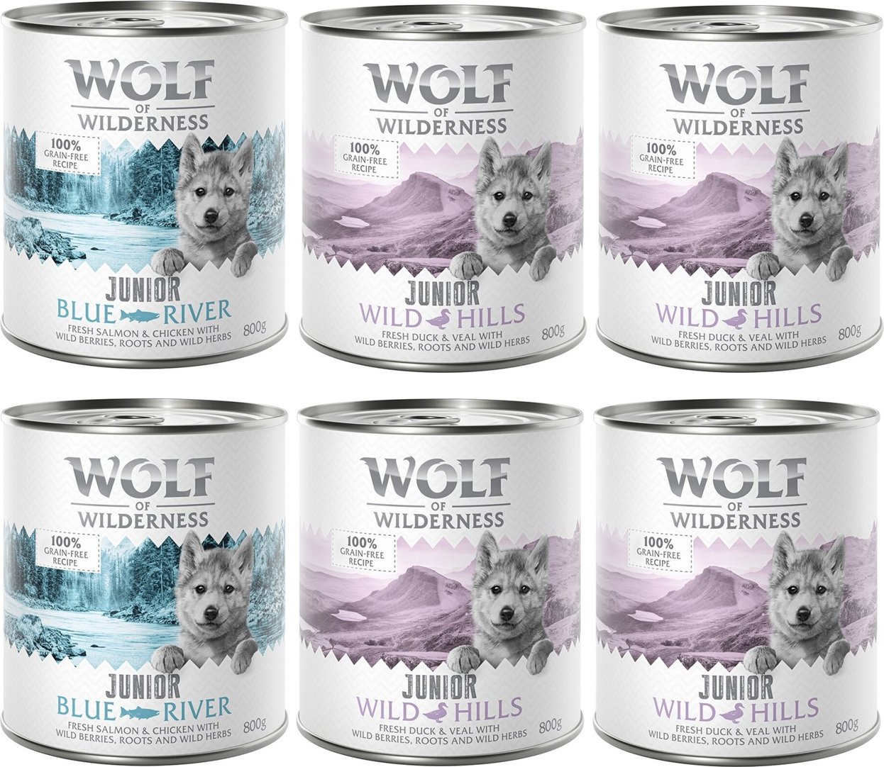Wolf of Wilderness JUNIOR - Mixpaket - 6 x 800 g: 4x Ente & Kalb, 2x Huhn & Lachs