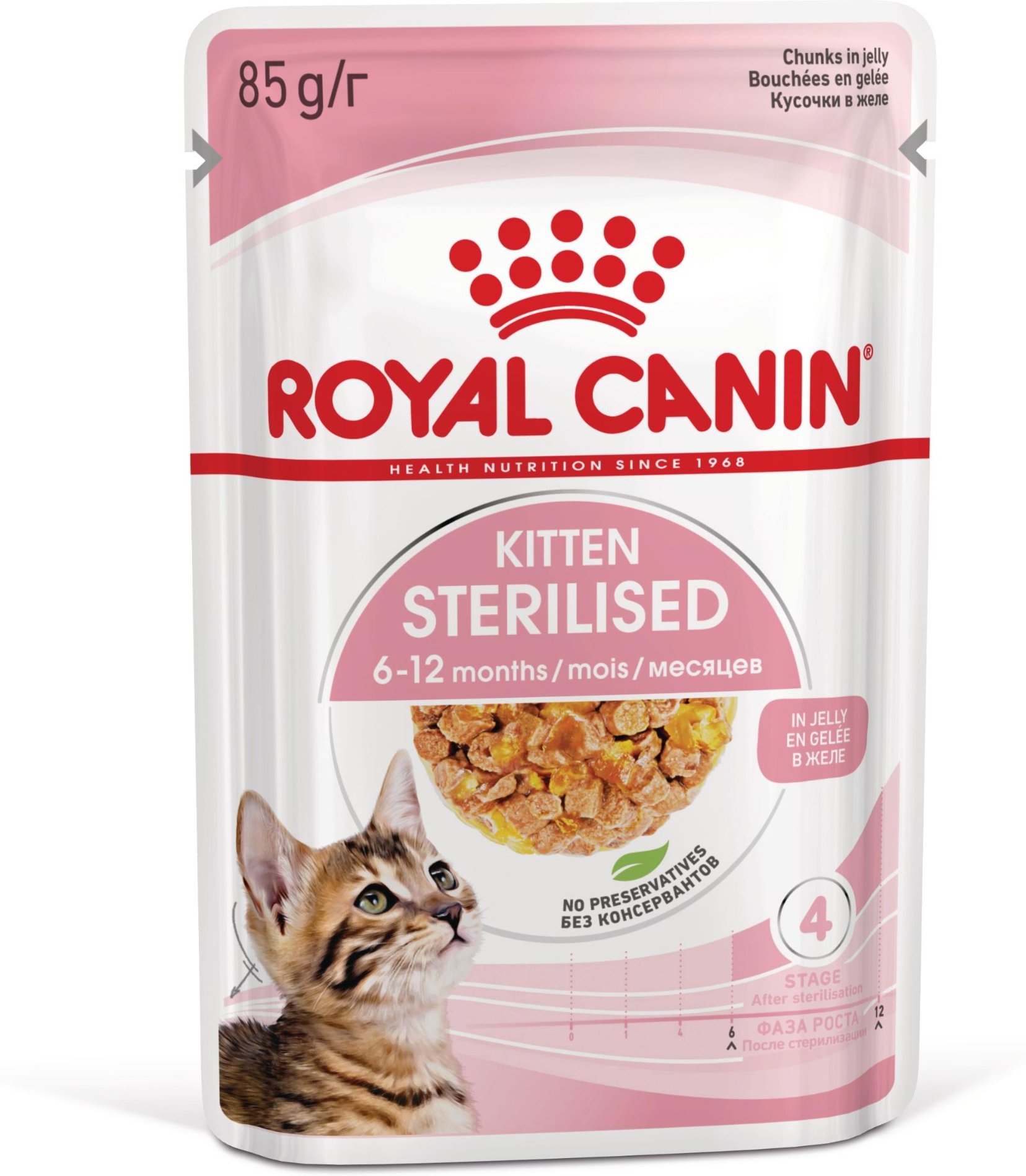 Royal Canin Sterilized Kitten in Gelee - Sparpaket: 24 x 85 g