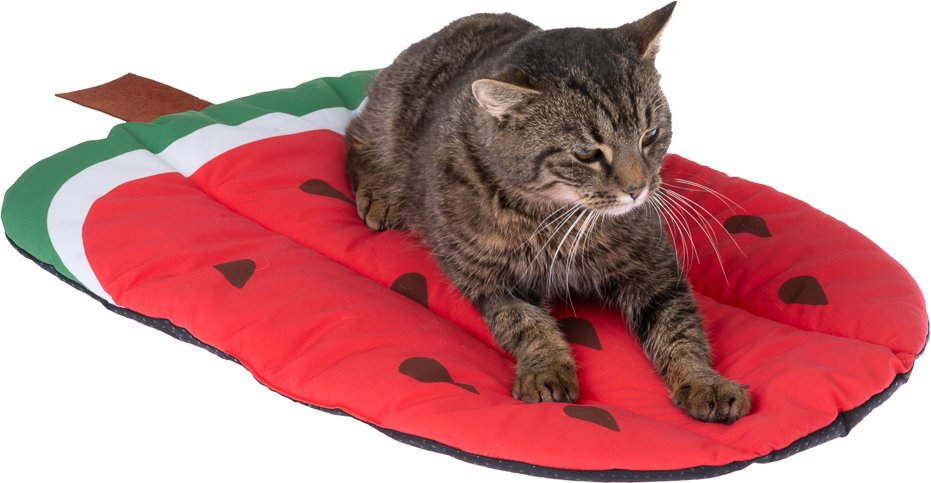 TIAKI Kühlmatte Wassermelone - L 65 x B 40 x H 2 cm