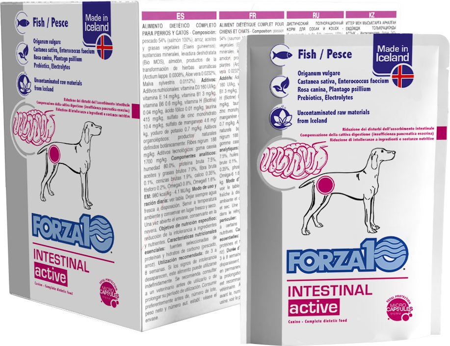 Forza 10 Intestinal Active - 12 x 100 g