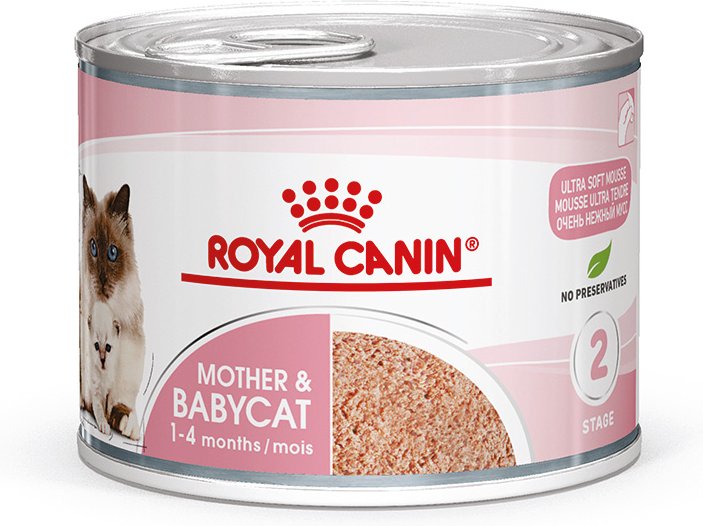 Royal Canin Mother & Babycat Ultra Soft Mousse - Sparpaket: 24 x 195 g