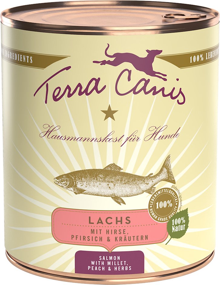 Sparpaket Terra Canis 12 x 800 g - Lachs mit Hirse, Pfirsich und Kräutern