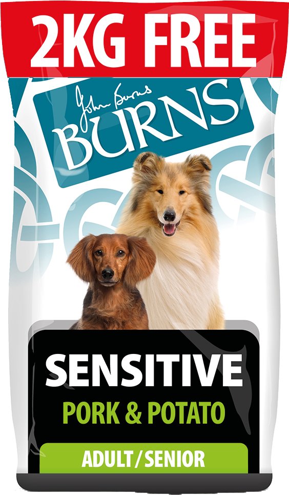 2 kg gratis! 14 kg Burns Trockenfutter - Adult Sensitive - Schweinefleisch & Kartoffel