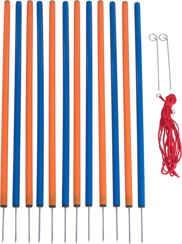 Agility Fun & Sport Komplett-Set - Sparpaket mit 4 Einzelelementen