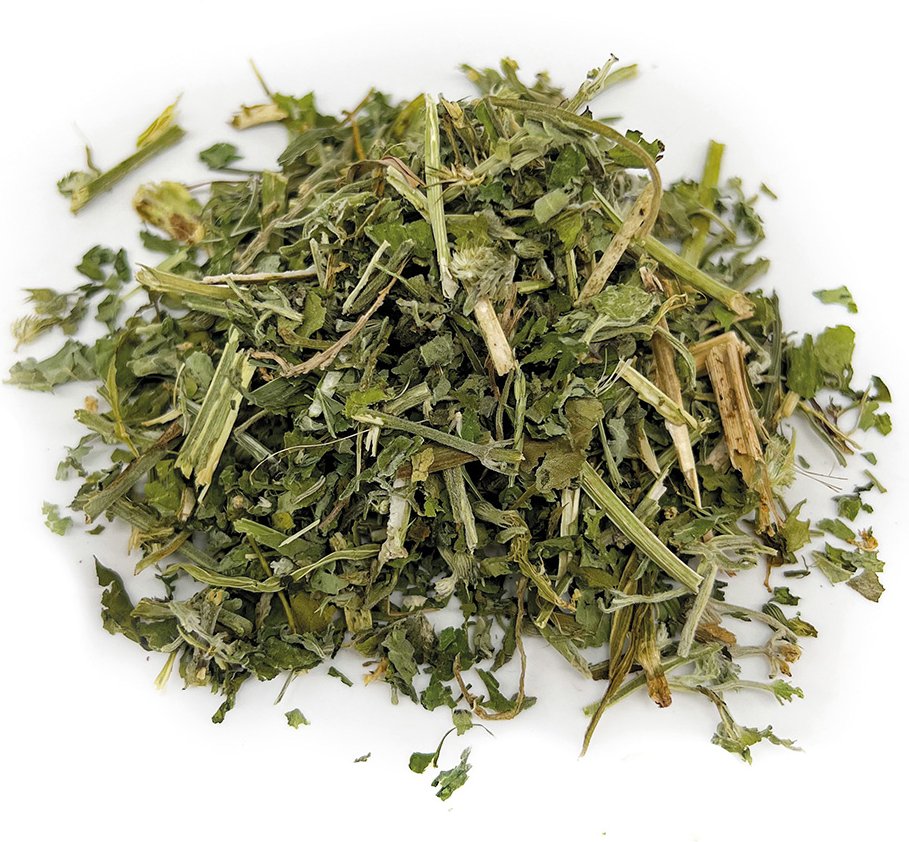 Aumüller Frische Katzenminze - 10 g