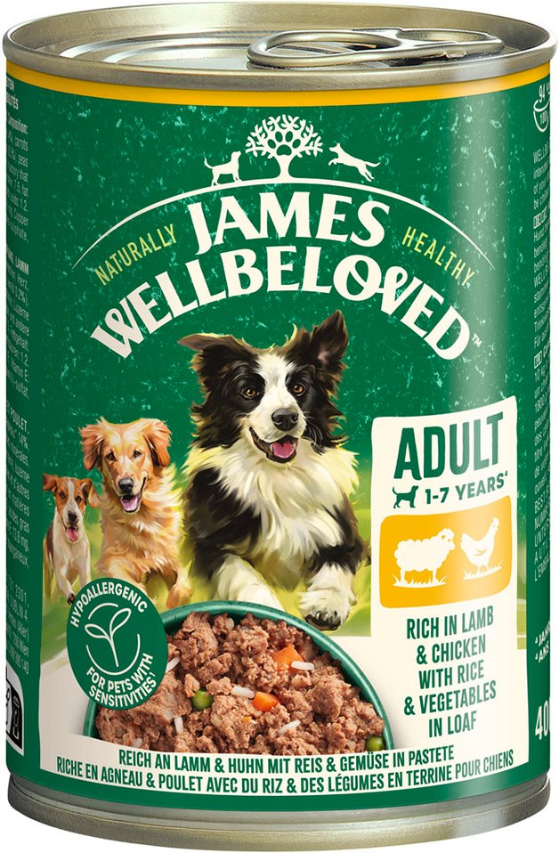 James Wellbeloved Adult Dog Hypoallergenic Lamm & Huhn in Pastete - Sparpaket: 12 x 400 g