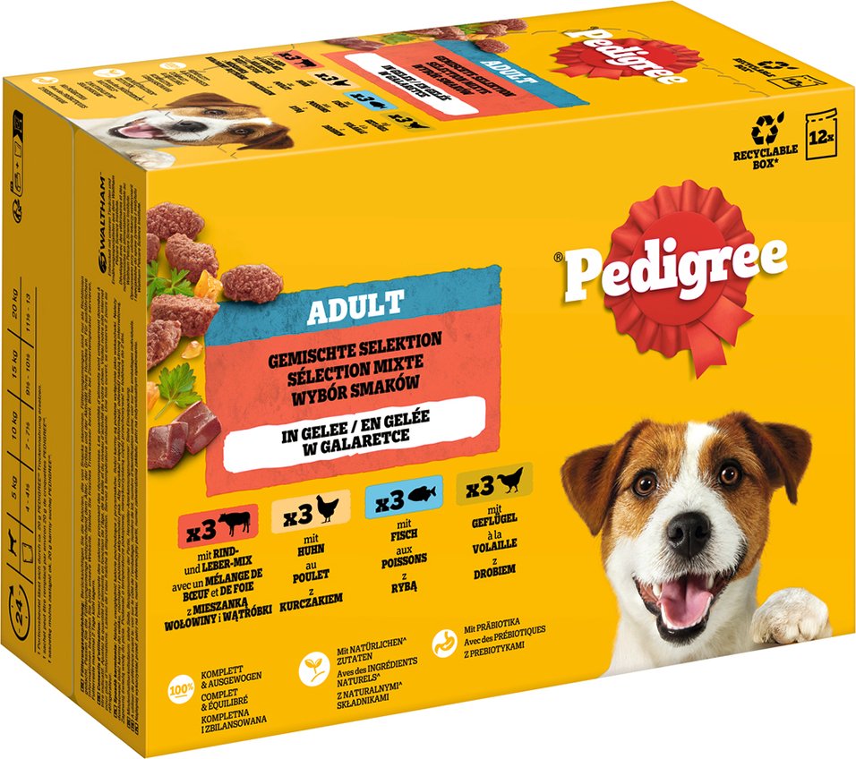 Pedigree Adult Frischebeutel Multipack - Gemischte Selektion in Gelee (4 Varietäten) 12 x 100 g