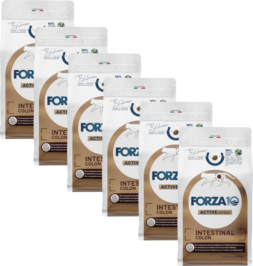 Forza 10 Active Line - Intestinal Colon Fisch - 4,8 kg (12 x 400 g)