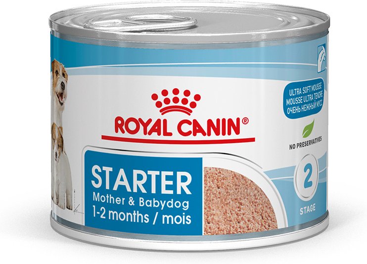 Royal Canin Starter Mother & Babydog Ultra Soft Mousse - 12 x 195 g