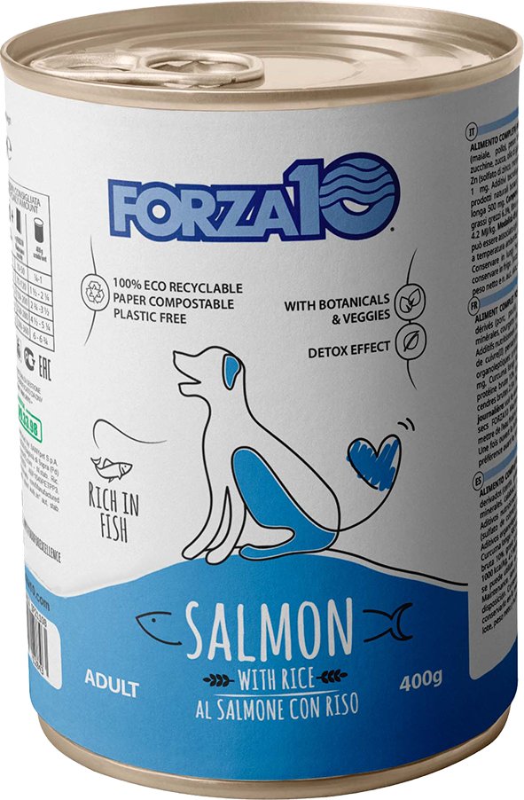 Forza 10 Maintenance Lachs & Reis - 12 x 400 g