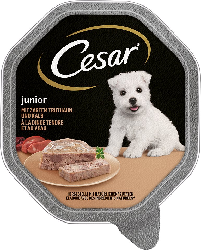 Sparpaket Cesar Junior Schale 28 x 150 g - mit Truthahn und Kalb