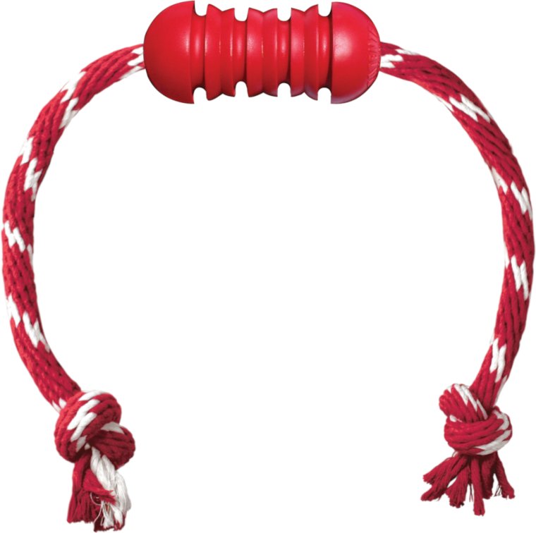 KONG Dental Hundespielzeug mit Seil - Größe S: ca. L 49 x Ø 3,7 cm
