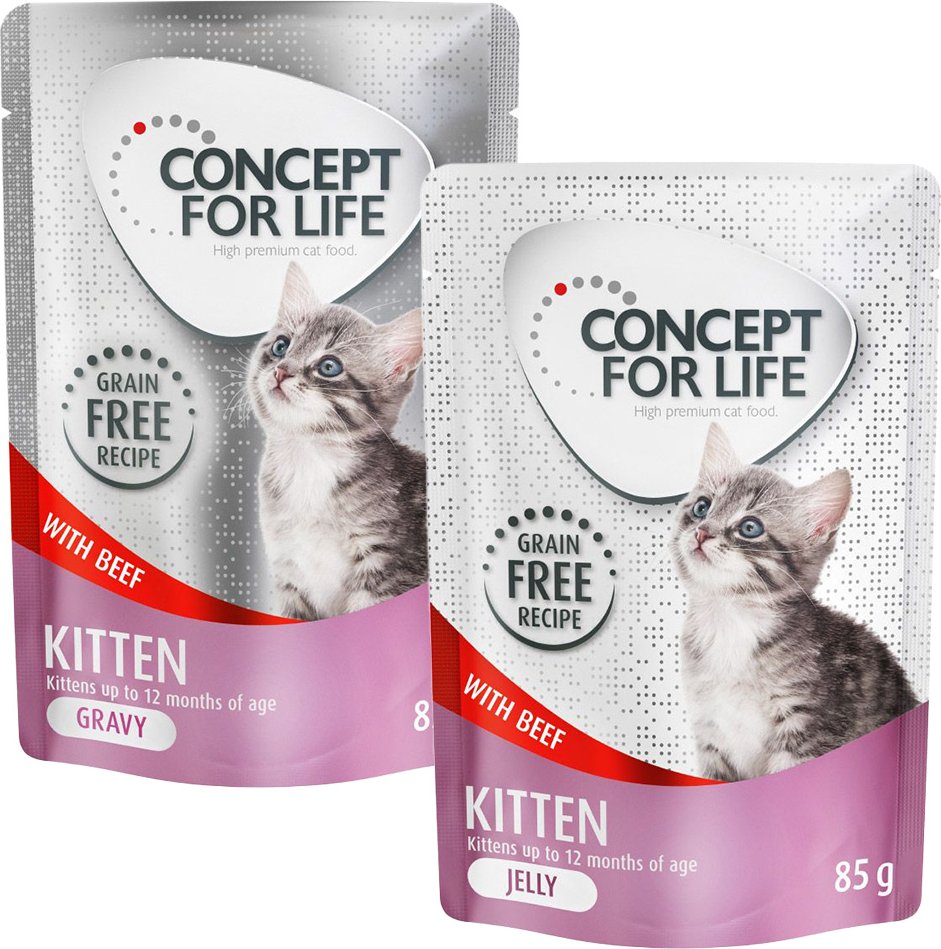 Gemischtes Sparpaket Concept for Life getreidefrei Gelee & Soße 24 x 85 g - Kitten Rind - in Soße und Gelee