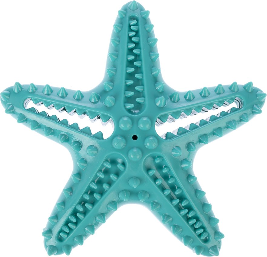 TIAKI Hundespielzeug Seestern - L 15 x B 15 x H 5 cm