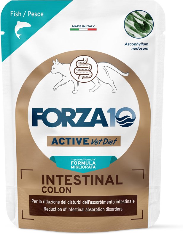 Forza 10 Intestinal Colon Active Vet Diet für Katzen 12 x 80 g - Weißfisch