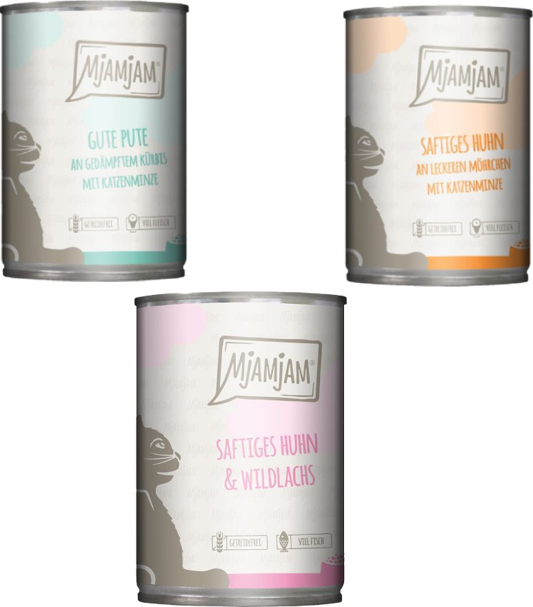 Kombi-Paket MjAMjAM 36 x 400 g - Mixpaket 2 (3 Sorten)