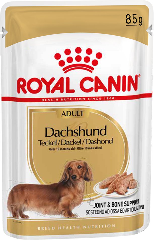 Royal Canin Dachshund Mousse - Sparpaket: 24 x 85 g