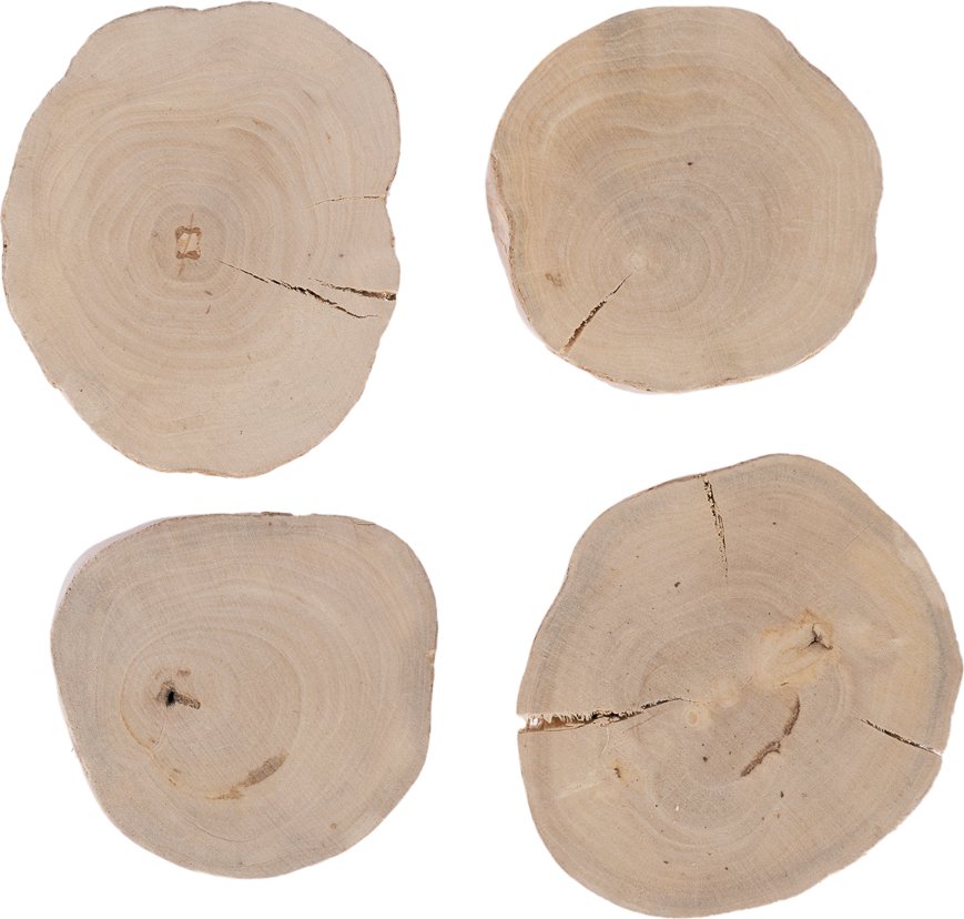 TIAKI Kaffeeholz-Knabberscheiben - 4er Set Ø 6-10 cm