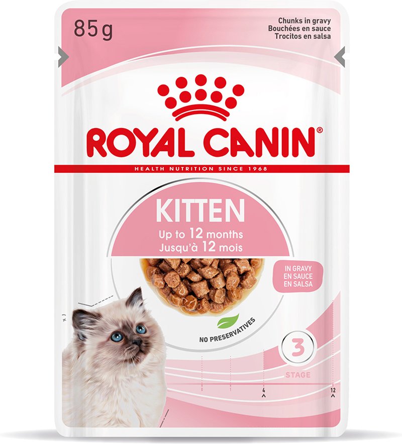 Royal Canin Kitten in Soße - 12 x 85 g
