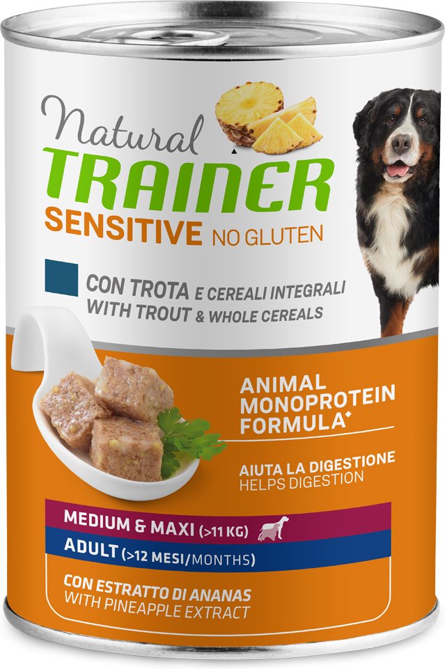 Natural Trainer Sensitive No Gluten Adult - 24 x 400 g Forelle & Vollkorngetreide