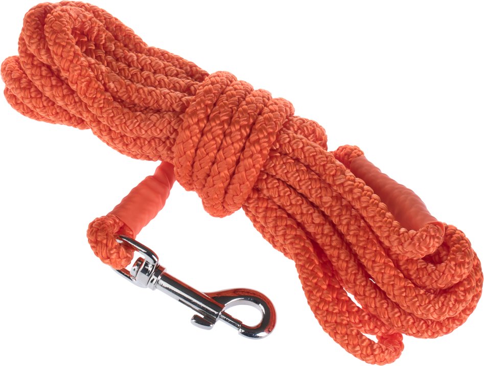 Sparset: Heim Feldleine Orange + Trixie Dog Activity Baggy Deluxe - Leine 10 m + Baggy