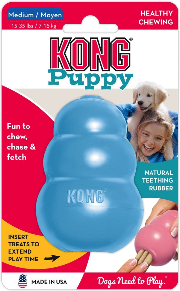 KONG Welpenspielzeug - M, blau