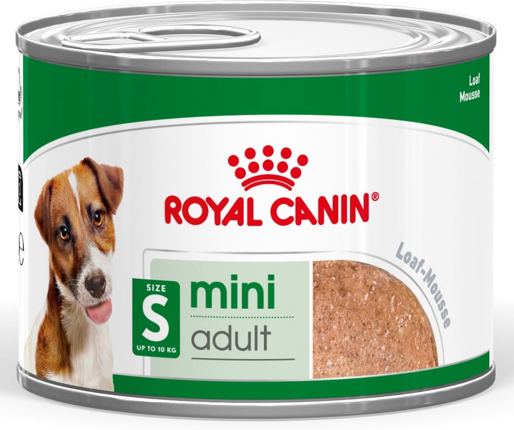 Royal Canin Mini Adult Mousse - 12 x 195 g