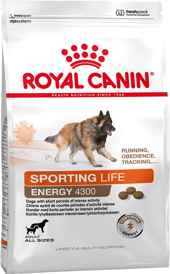 Royal Canin Sporting Life Energy Trail 4300 - Sparpaket: 2 x 15 kg