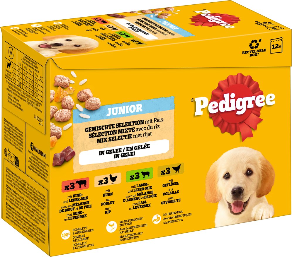 Pedigree Junior Frischebeutel Multipack - 96 x 100 g Gemischte Selektion in Gelee (4 Varietäten)