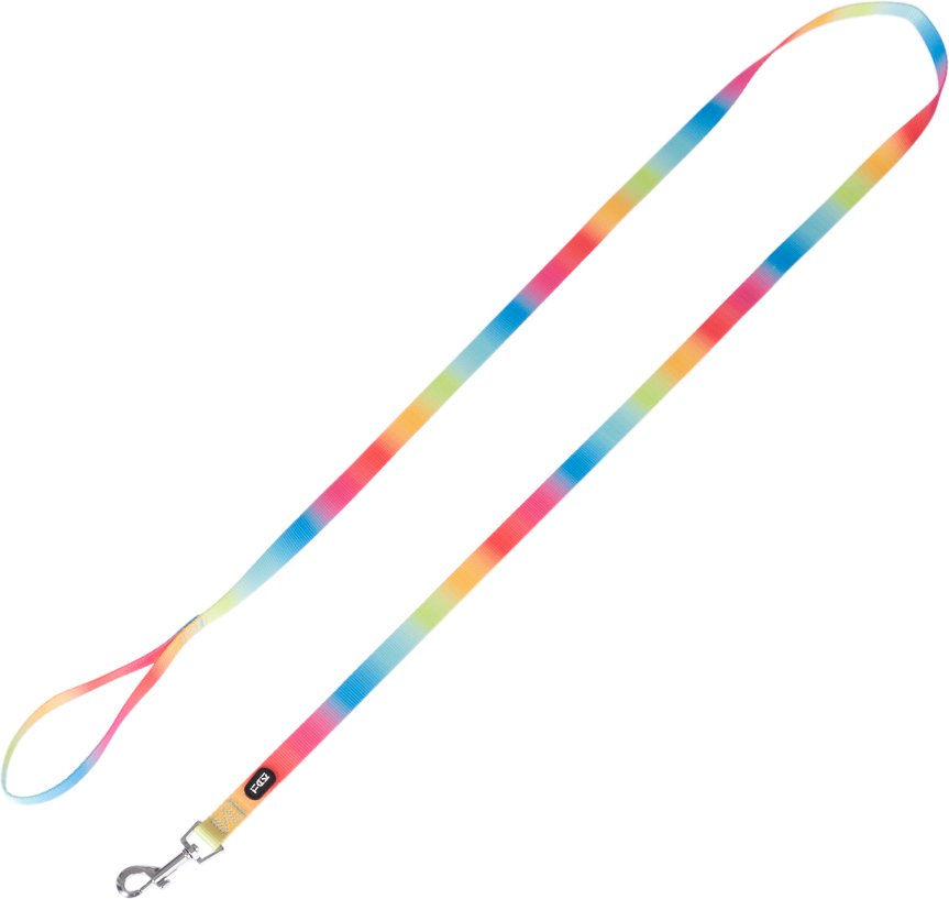 Thumbnail - TIAKI Hundeleine Rainbow - Größe L: 200 cm lang, 25 mm breit