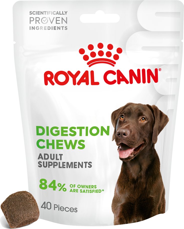 Royal Canin Digestion Adult Supplement Kausnacks - Sparpaket: 2 x 160 g (80 Stück)