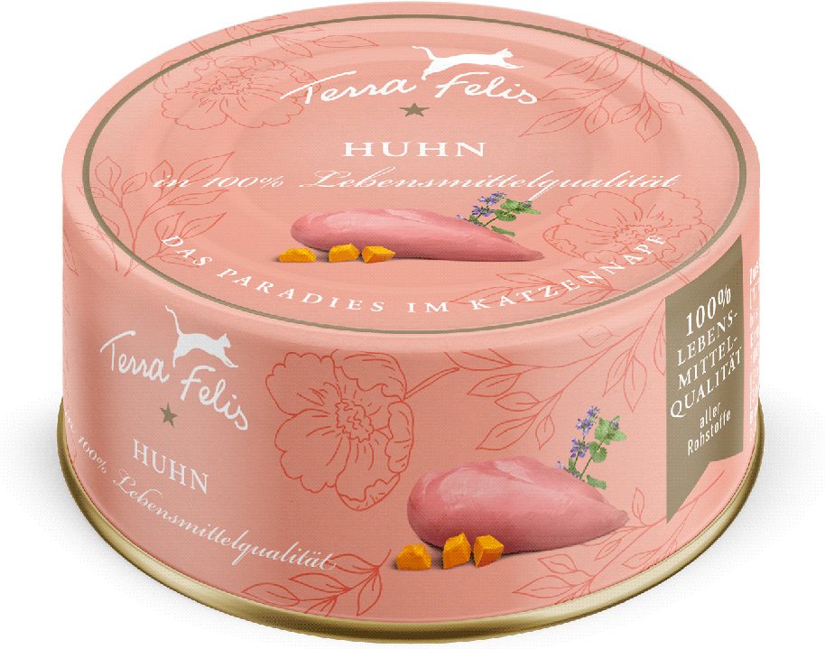 Terra Felis Complete 12 x 80 g - Huhn