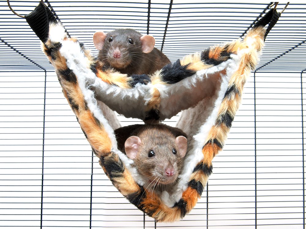 Savic Hängematte Relax de Luxe Fake Fur - Maße: 33 x 17 x 14 cm