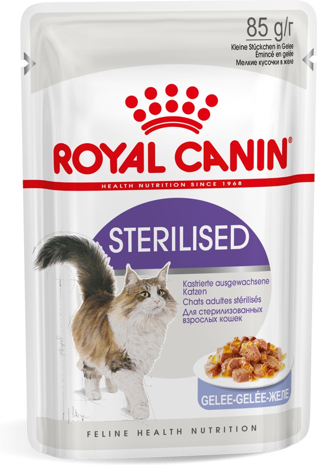 Royal Canin Sterilised in Gelee - Sparpaket: 24 x 85 g