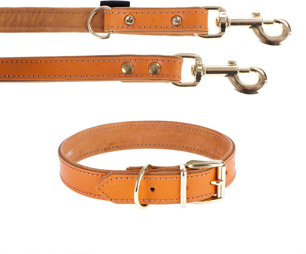 Heim Set: Lederhalsband & Vorführleine Buffalo, cognac - Halsband Größe 60 + Leine 200 cm