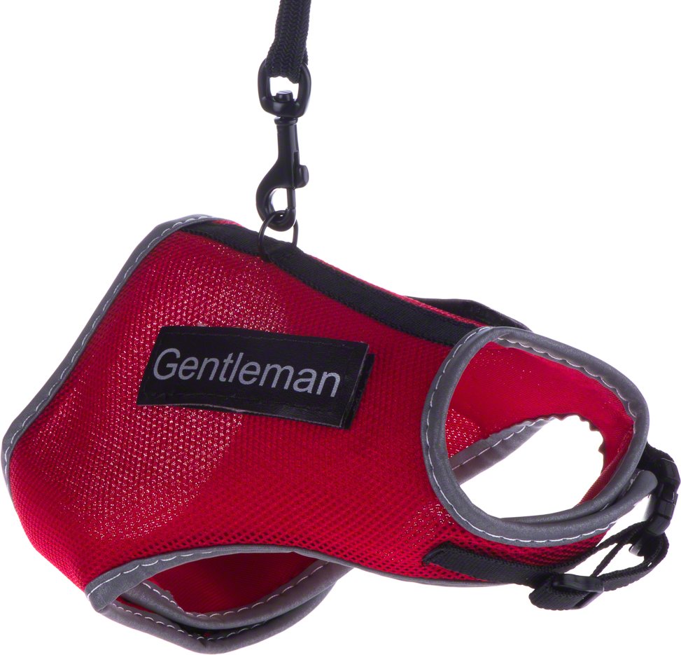 Trixie Katzengeschirr XCat mit Sticker und Leine - rot