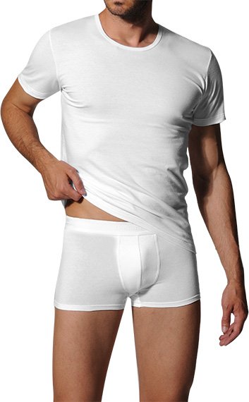 bugatti Herren T-Shirt weiß Reine Baumwolle unifarben