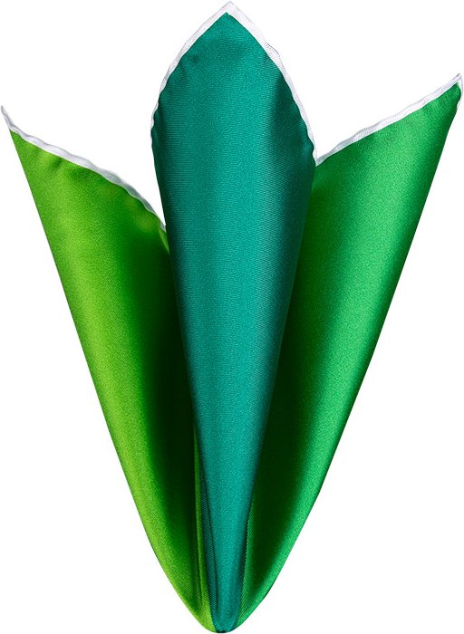 Ascot Herren Einstecktuch grün