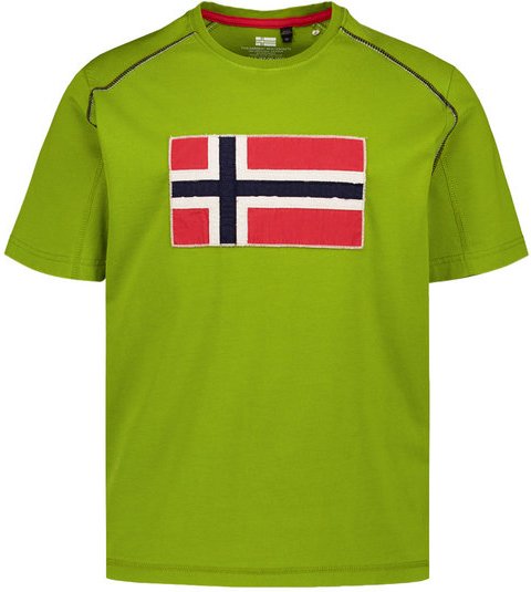 NAPAPIJRI Herren T-Shirt grün