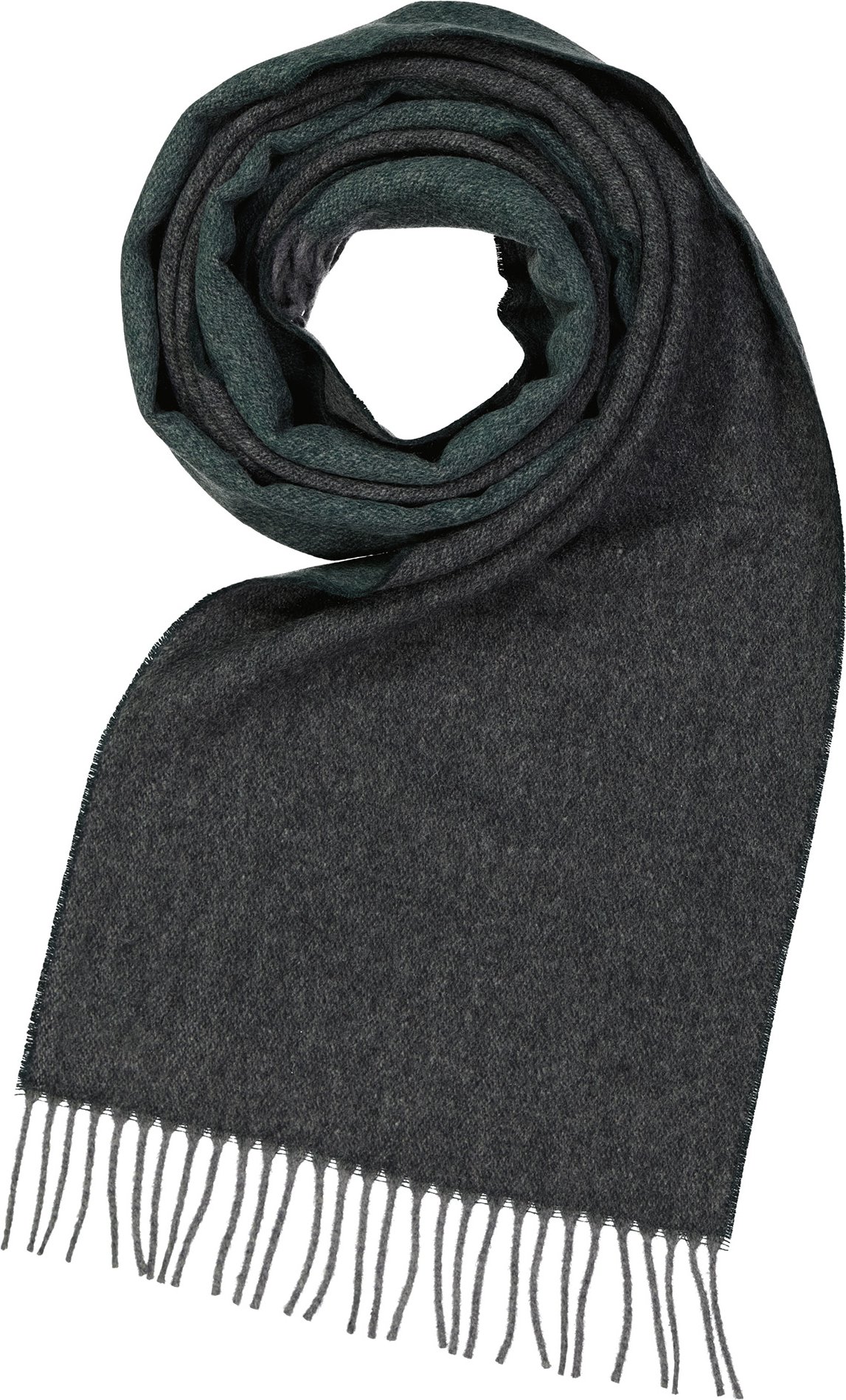 DANTE Herren Schal grün Kashmere-Wolle