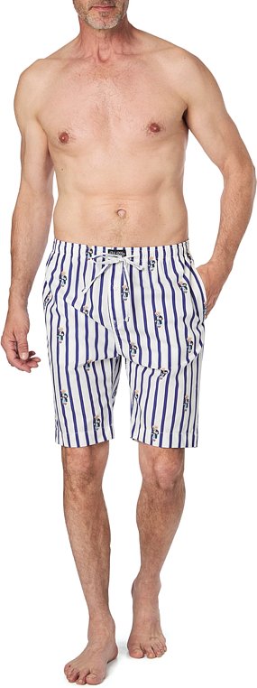 Polo Ralph Lauren Herren Shorts blau Baumwolle & Mix Gemustert
